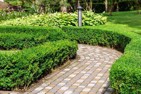 Paved Landscaping in Arvada