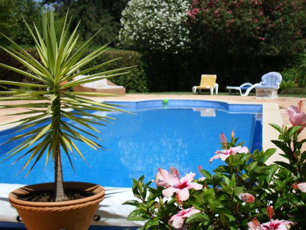 Pool Terrace Renovation in Arvada